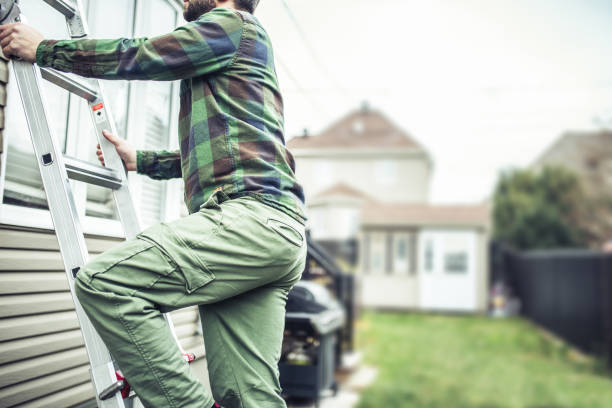 Best Insulated Siding Installation  in Belle Rose, LA