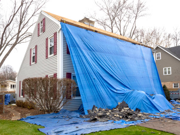 Historical Building Siding Restoration in Belle Rose, LA