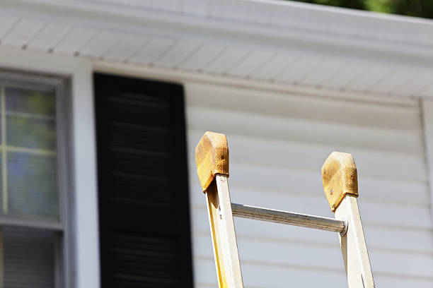 Best Custom Trim and Detailing for Siding  in Belle Rose, LA